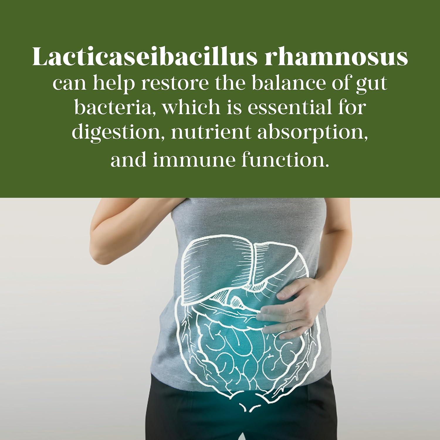 Suplemento Probiótico Meibotan Lacticaseibacillus 25 mil millones UFC - 60 cápsulas