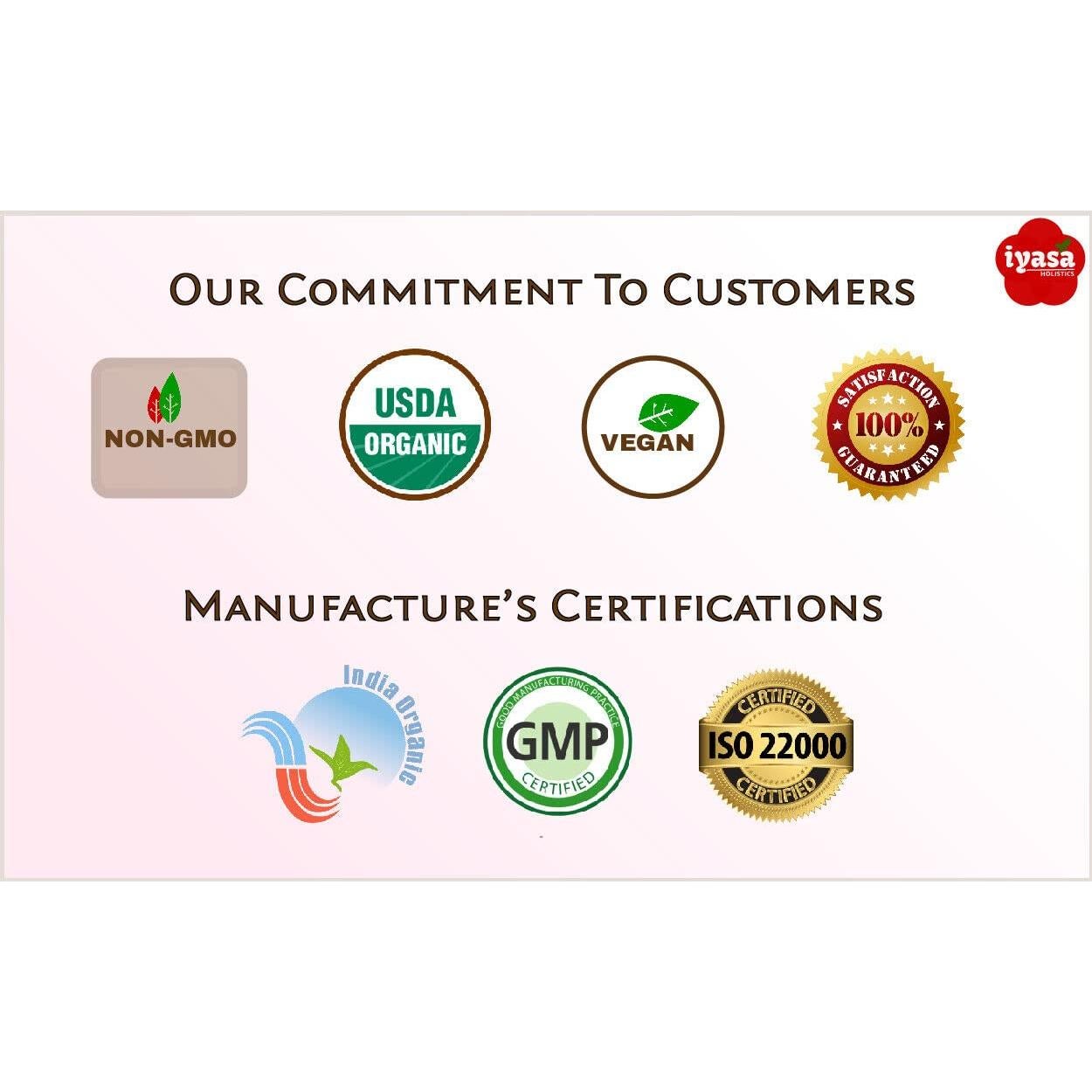 Polvo de Fruta Amla Orgánico Iyasa 112g - Superalimento Piel y Cabello