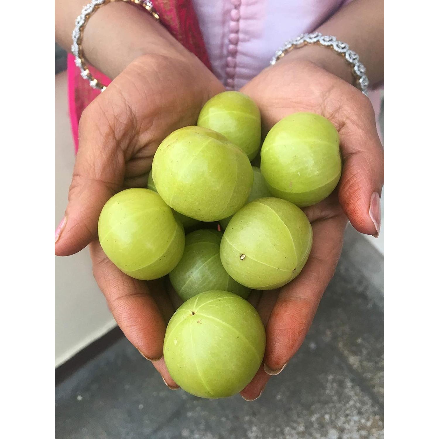 Polvo de Amla Orgánico Pure Indian Foods 227 g Suplemento