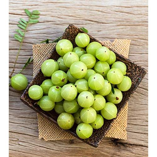 Polvo de Amla Orgánico Pure Indian Foods 227 g Suplemento