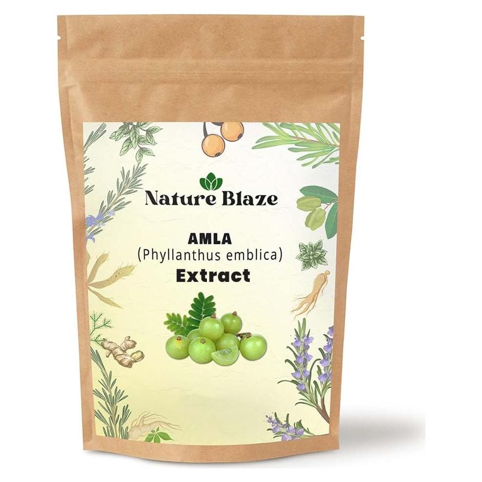 Polvo de Extracto de Amla 200g - Hierbas Orgánicas