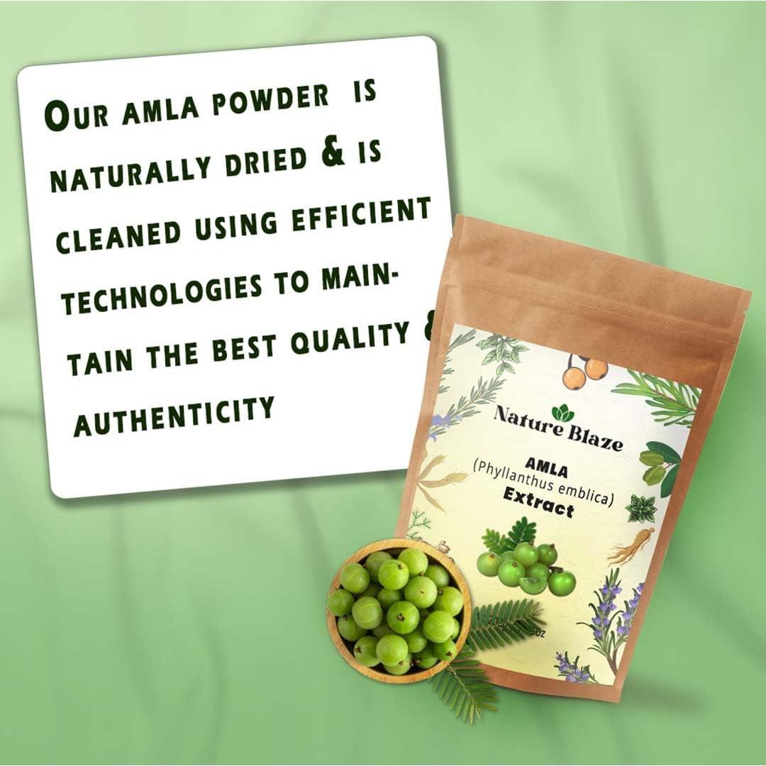 Polvo de Extracto de Amla 200g - Hierbas Orgánicas