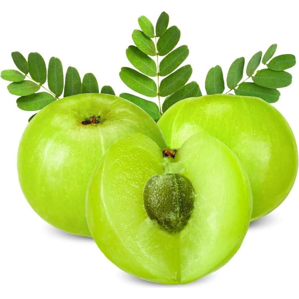 Polvo de Fruta Amla Orgánico 200g Dr. Herbalista - Apoyo Inmunológico