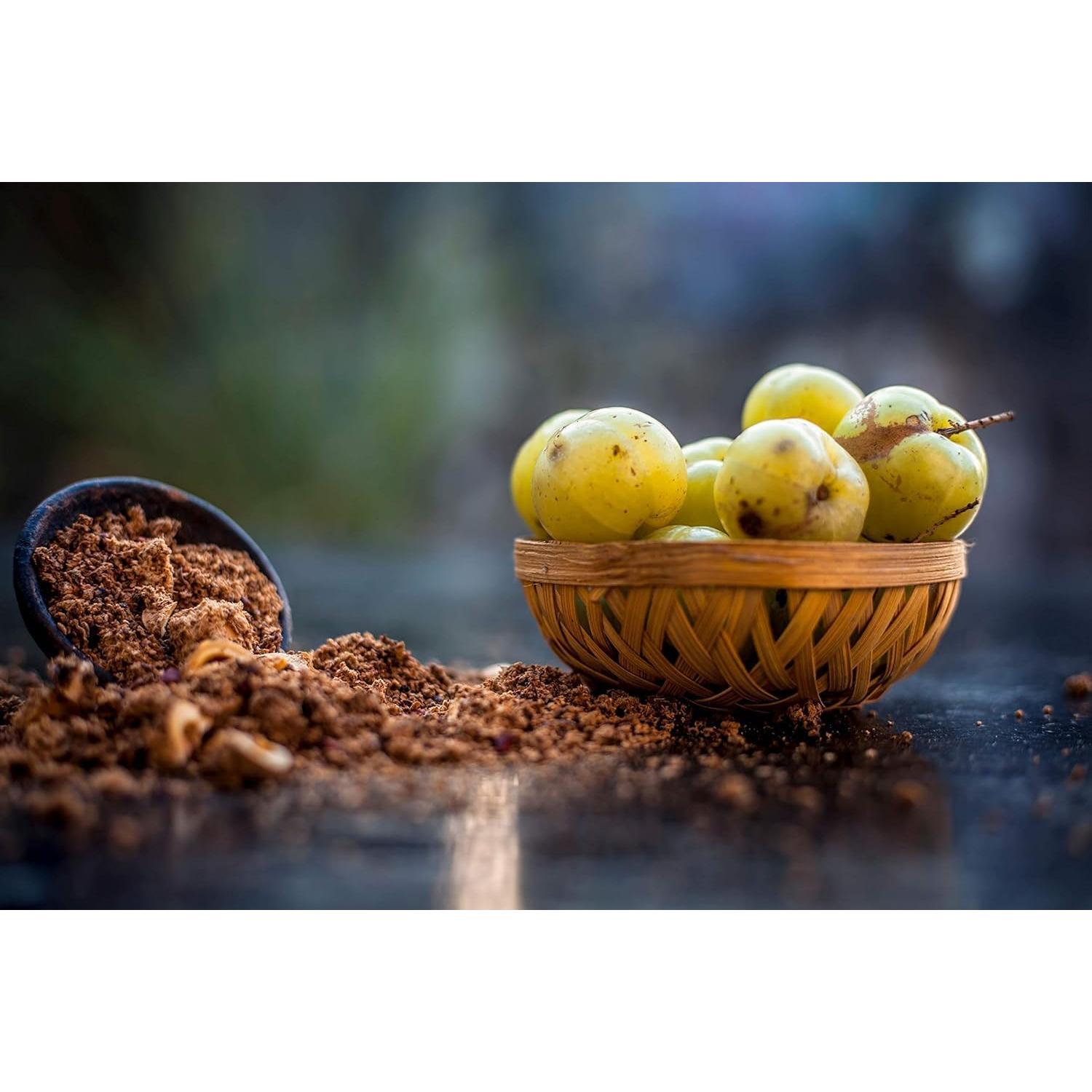 Polvo de Fruta Amla Orgánico 200g Dr. Herbalista - Apoyo Inmunológico