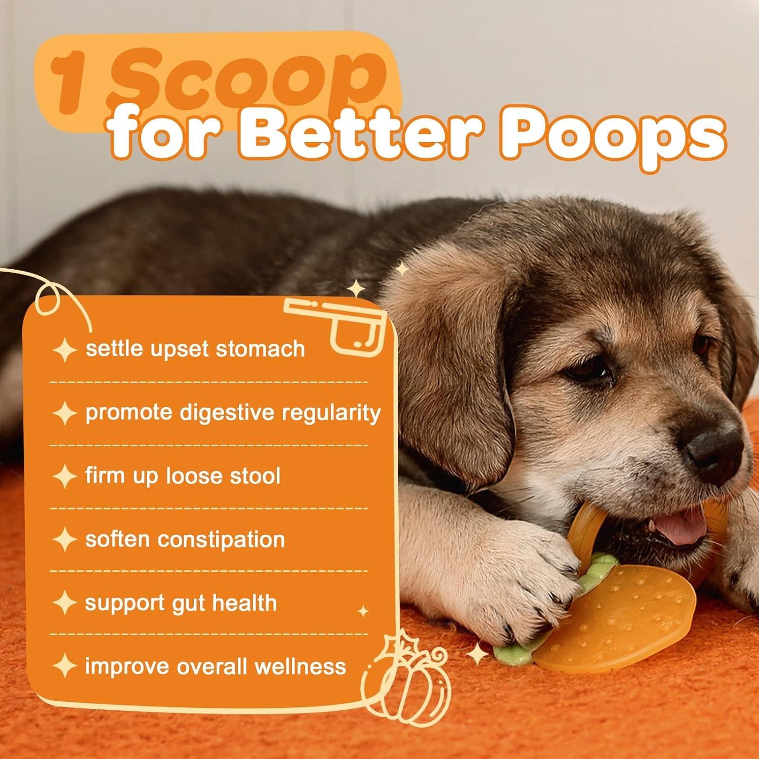 Suplemento de Fibra para Perros ZEBORA 300g - Calabaza y Probioticos