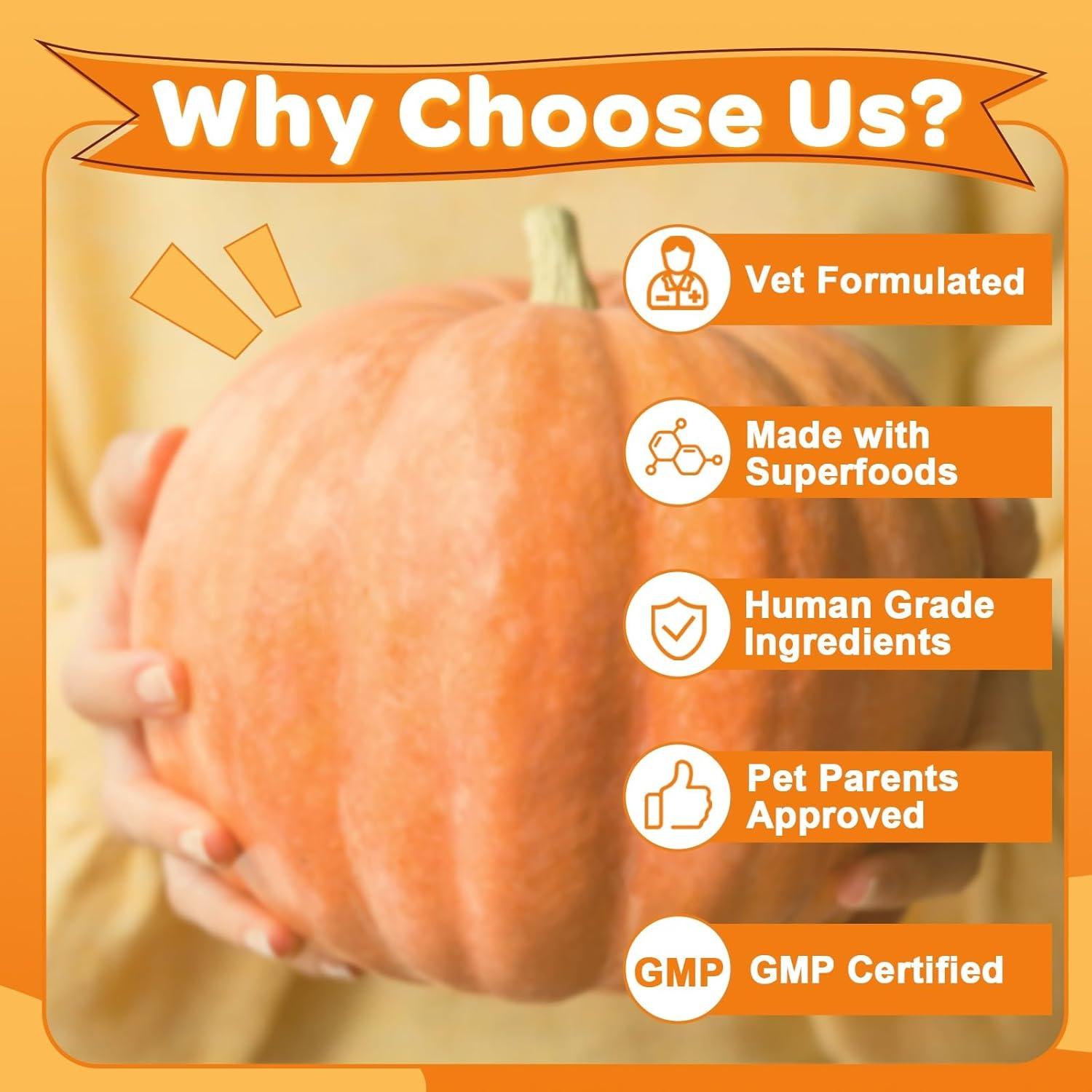 Suplemento de Fibra para Perros ZEBORA 300g - Calabaza y Probioticos