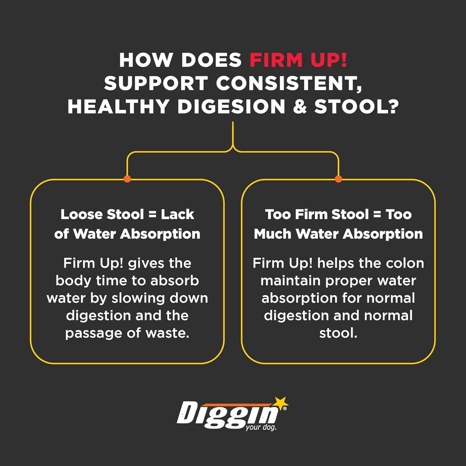 Suplemento Digestivo para Perros y Gatos Diggin' Your Dog 113 g