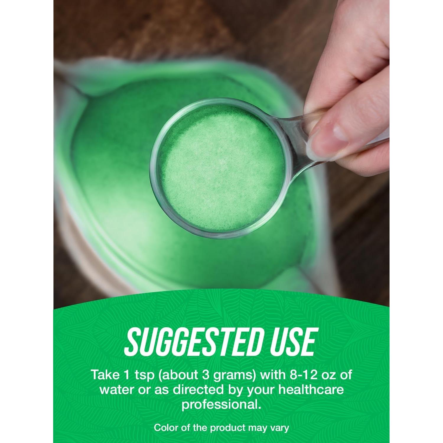 Polvo de Col Rizada Orgánico BulkSupplements 500g Vegano