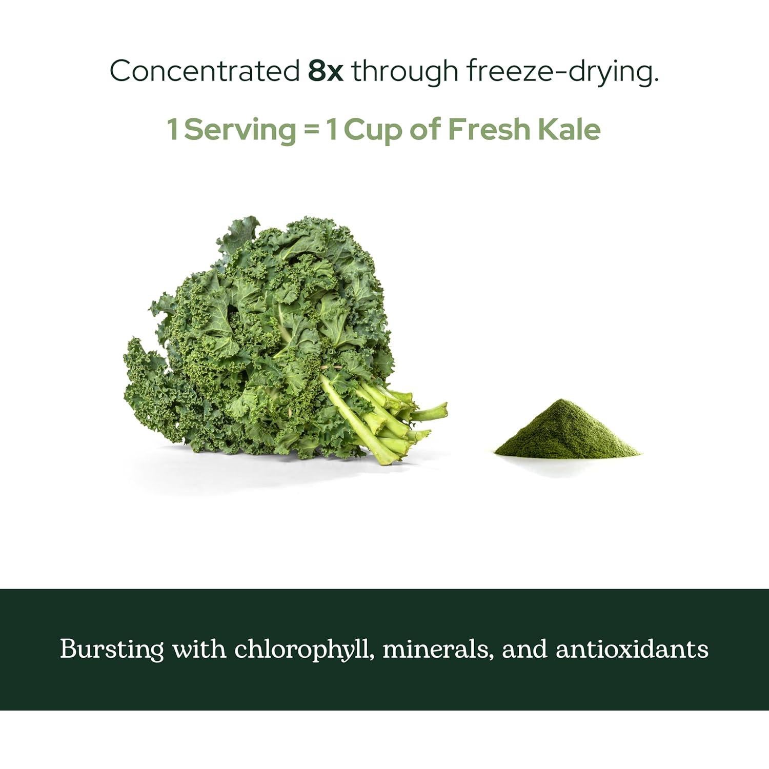 Polvo de Kale Orgánico Eclectic Herb 90 g - Superalimento Nutricional