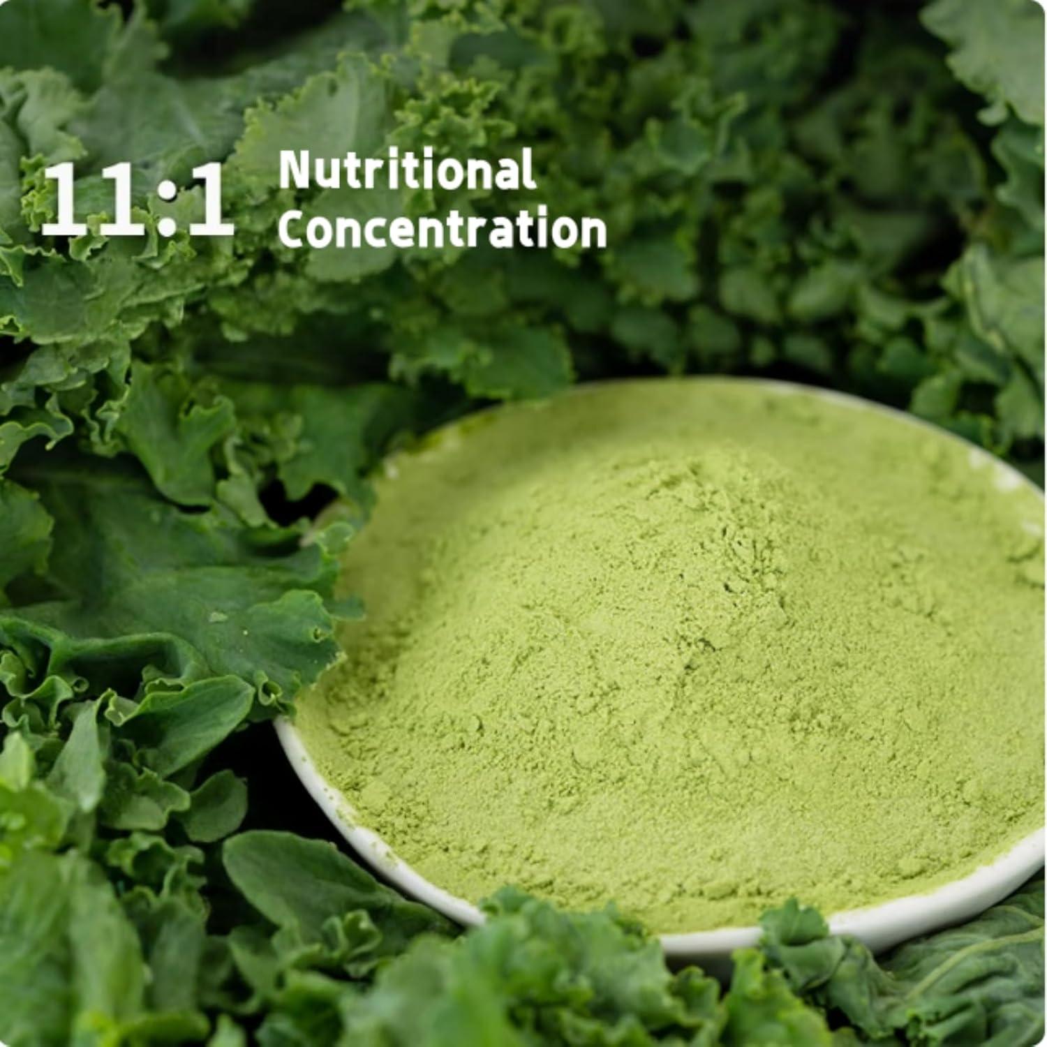 Polvo de Kale Orgánico Premium 380g - Superalimento Liofilizado