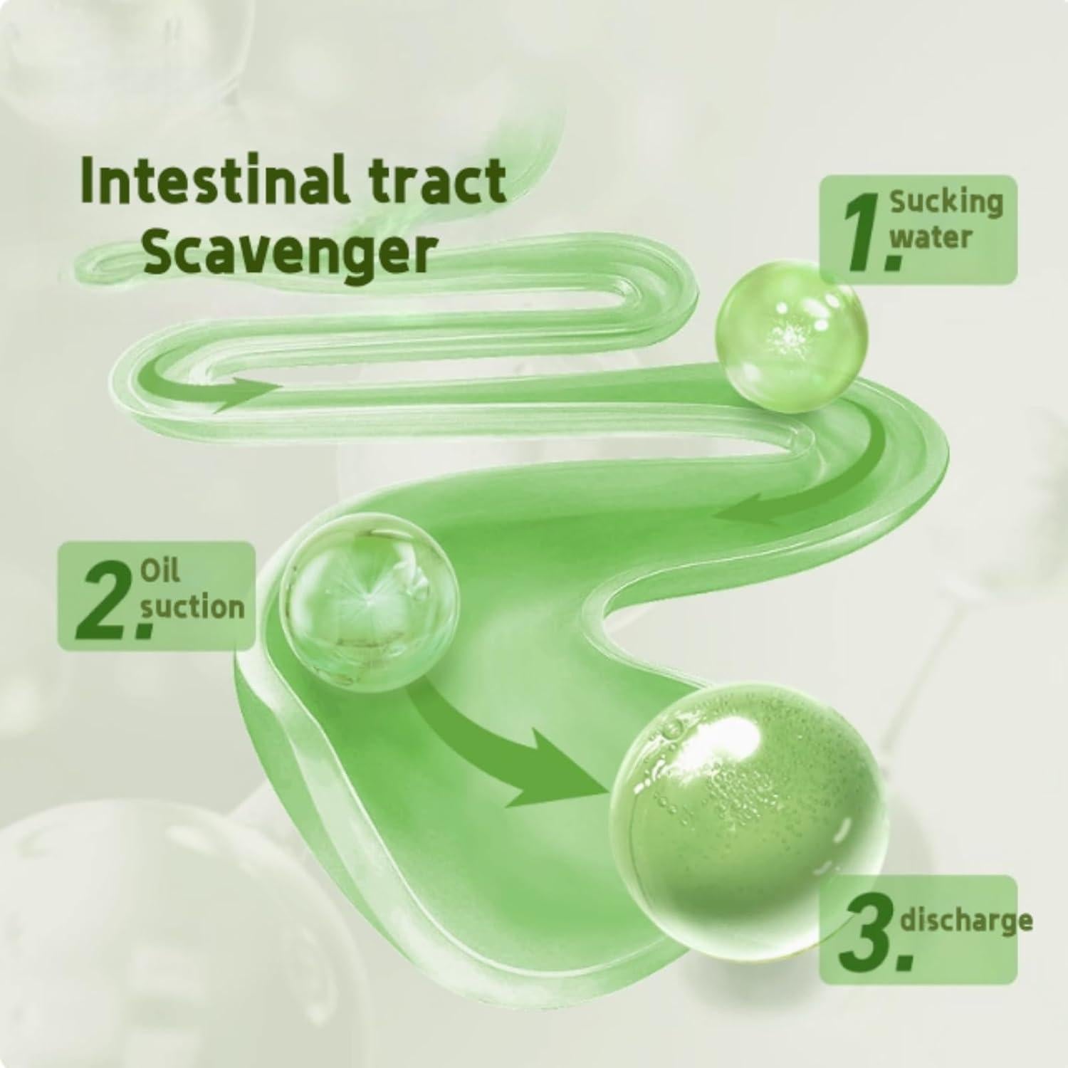 Polvo de Kale Orgánico Premium 380g - Superalimento Liofilizado