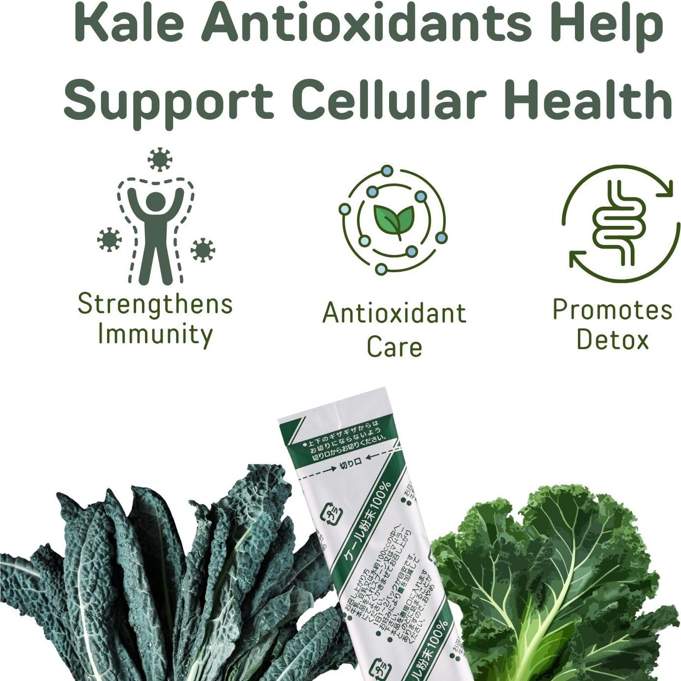 Polvo de Kale YAMAKAN 131.54g - Antioxidantes y Fibra Vegano