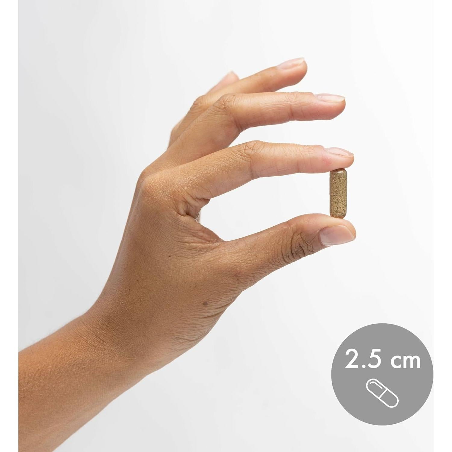 Brotes de Brócoli Fermentados Orgánicos Dr. Mercola - 30 Cápsulas