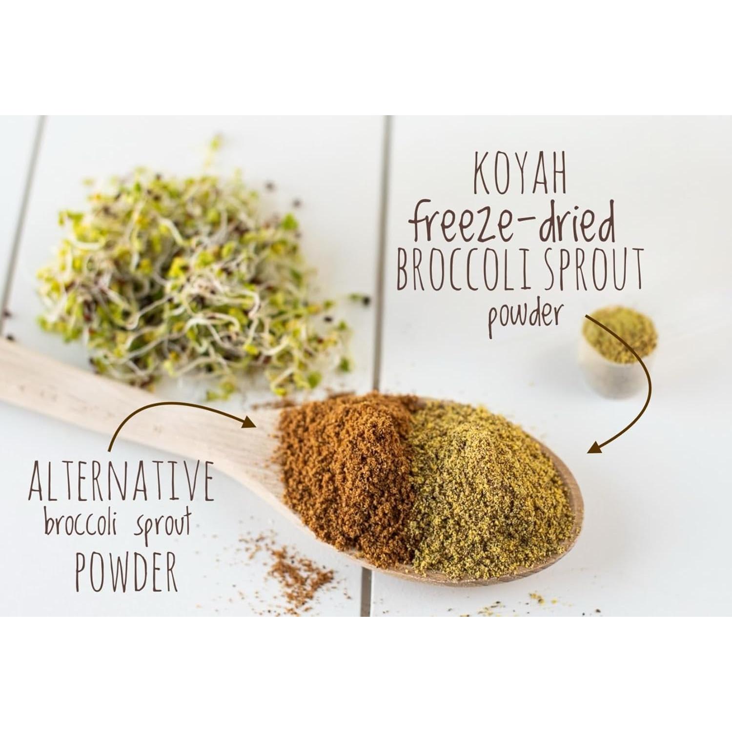 Polvo de Brote de Brócoli Orgánico KOYAH - 36 Porciones Liofilizado