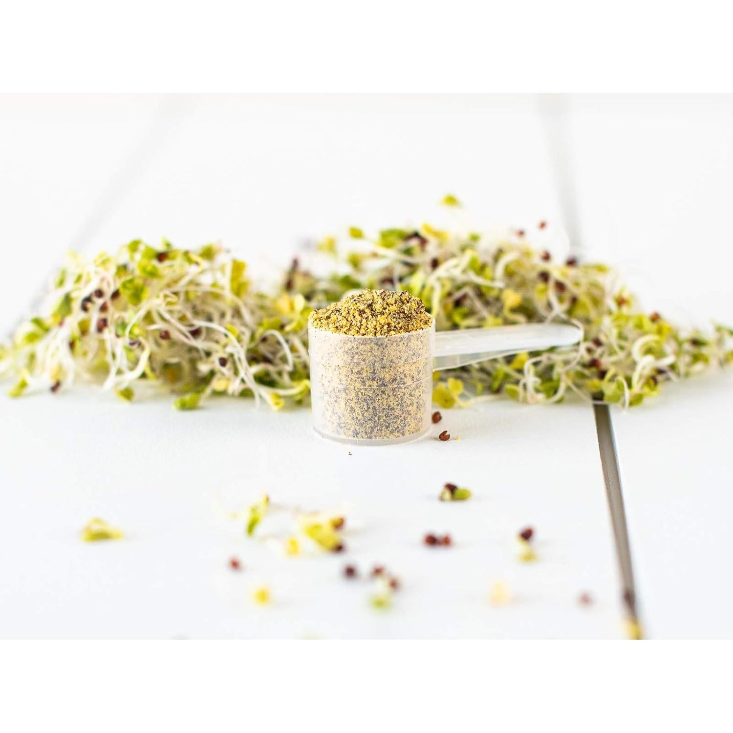 Polvo de Brote de Brócoli Orgánico KOYAH - 36 Porciones Liofilizado