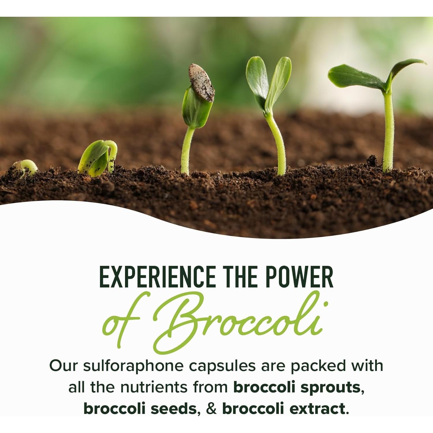 Suplemento de Sulforafano Activado 50MG Brotes de Brócoli 60 Cápsulas