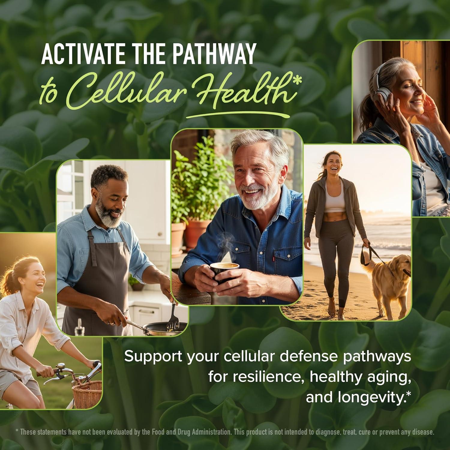 Suplemento de Sulforafano Activado 50MG Brotes de Brócoli 60 Cápsulas