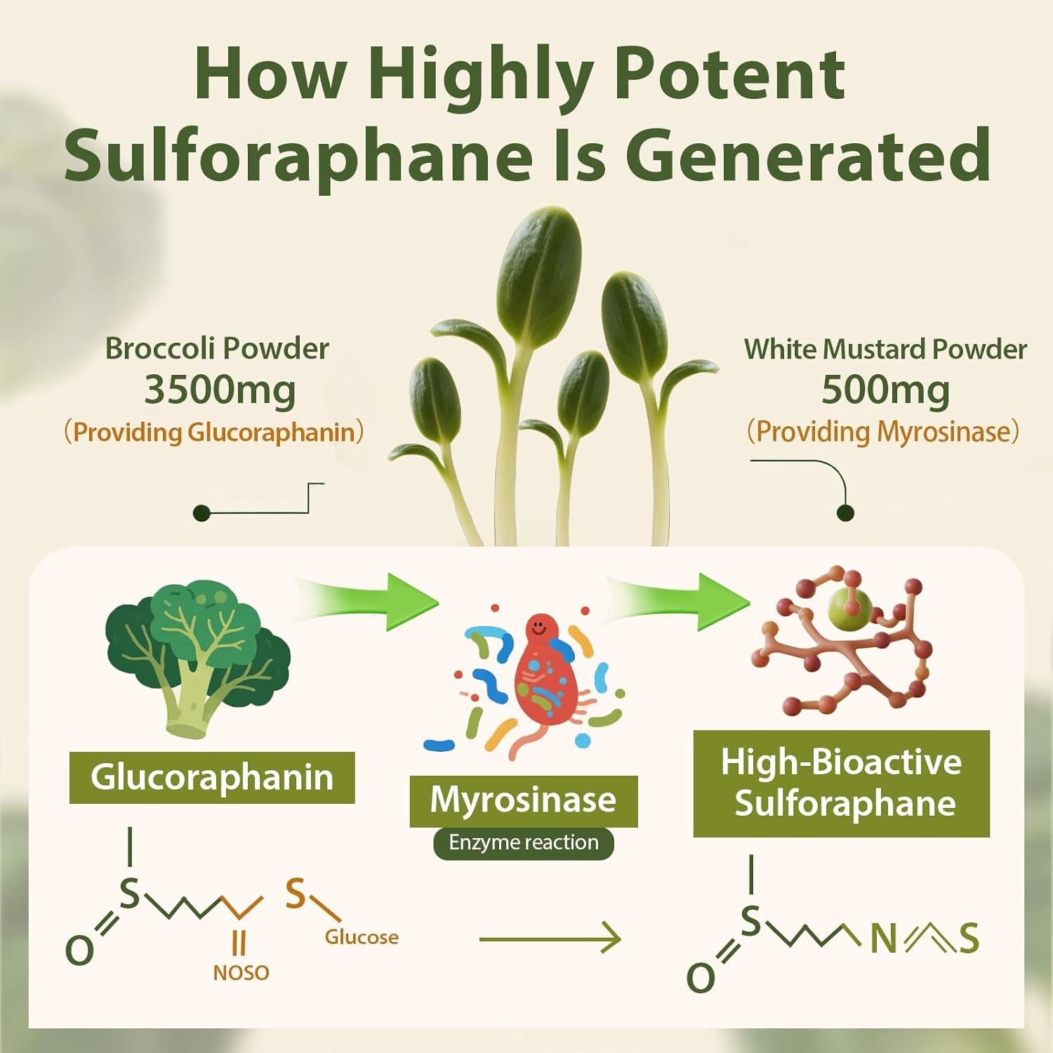 Suplemento de Sulforafano Cenffitio 120g - Antioxidante Vegano