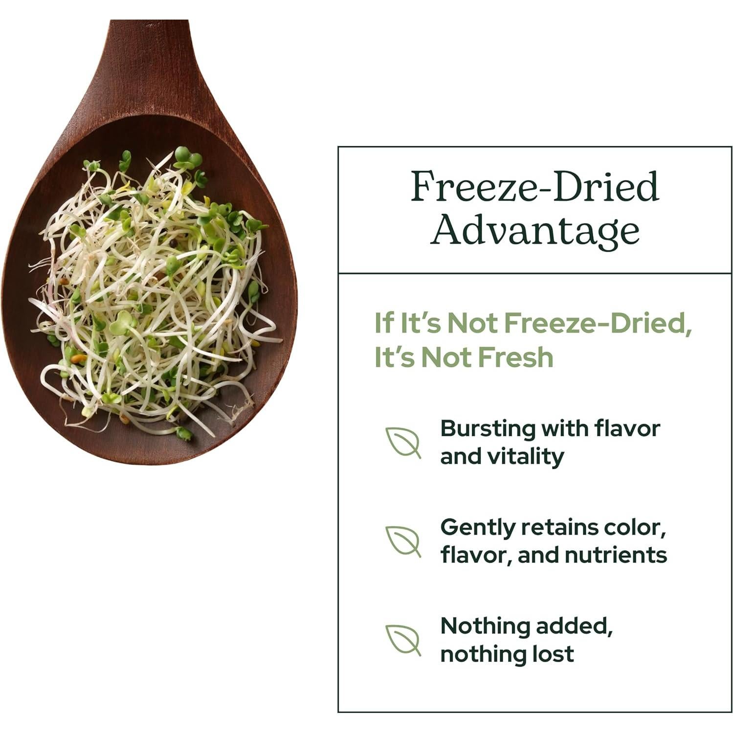 Polvo de Brotes de Brócoli Eclectic Herb 122 g - Orgánico