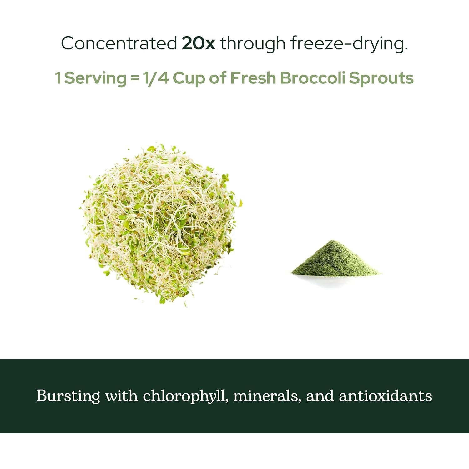 Polvo de Brotes de Brócoli Eclectic Herb 122 g - Orgánico