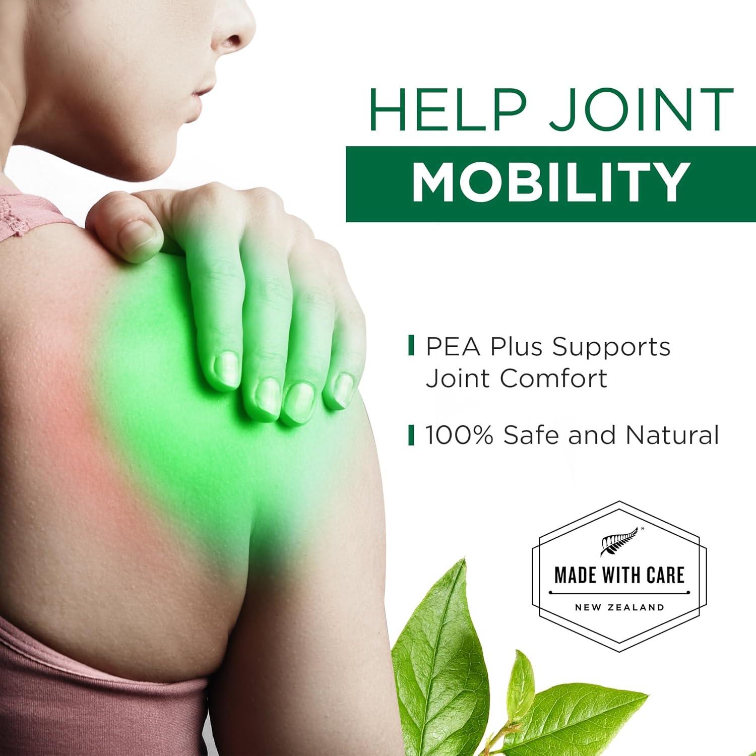 Suplemento Palmitoiletanolamida 600mg Plantonin - 2 Meses