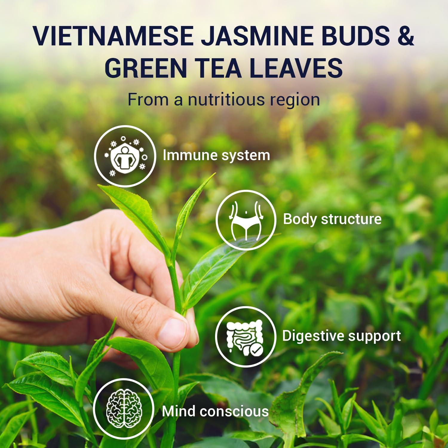 Té Verde Jasmine Premium 100g - Hojas Sueltas Aromáticas