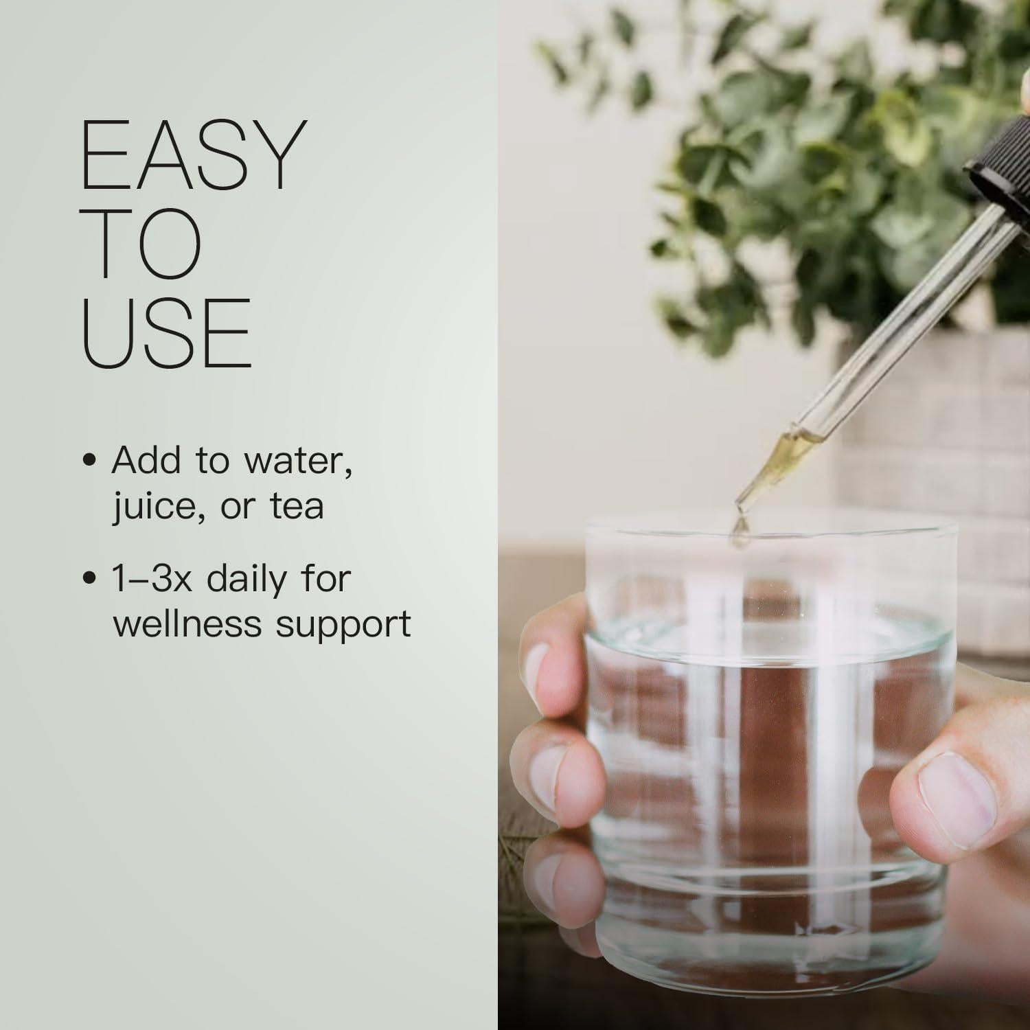 Extracto de Aguja de Pino Blanco del Este Noelle's Naturals - 56.7g - Soporte Inmunológico