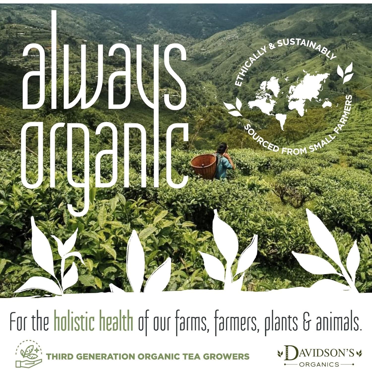 Té Rooibos Sudafricano Davidson's Hoja Suelta 450g