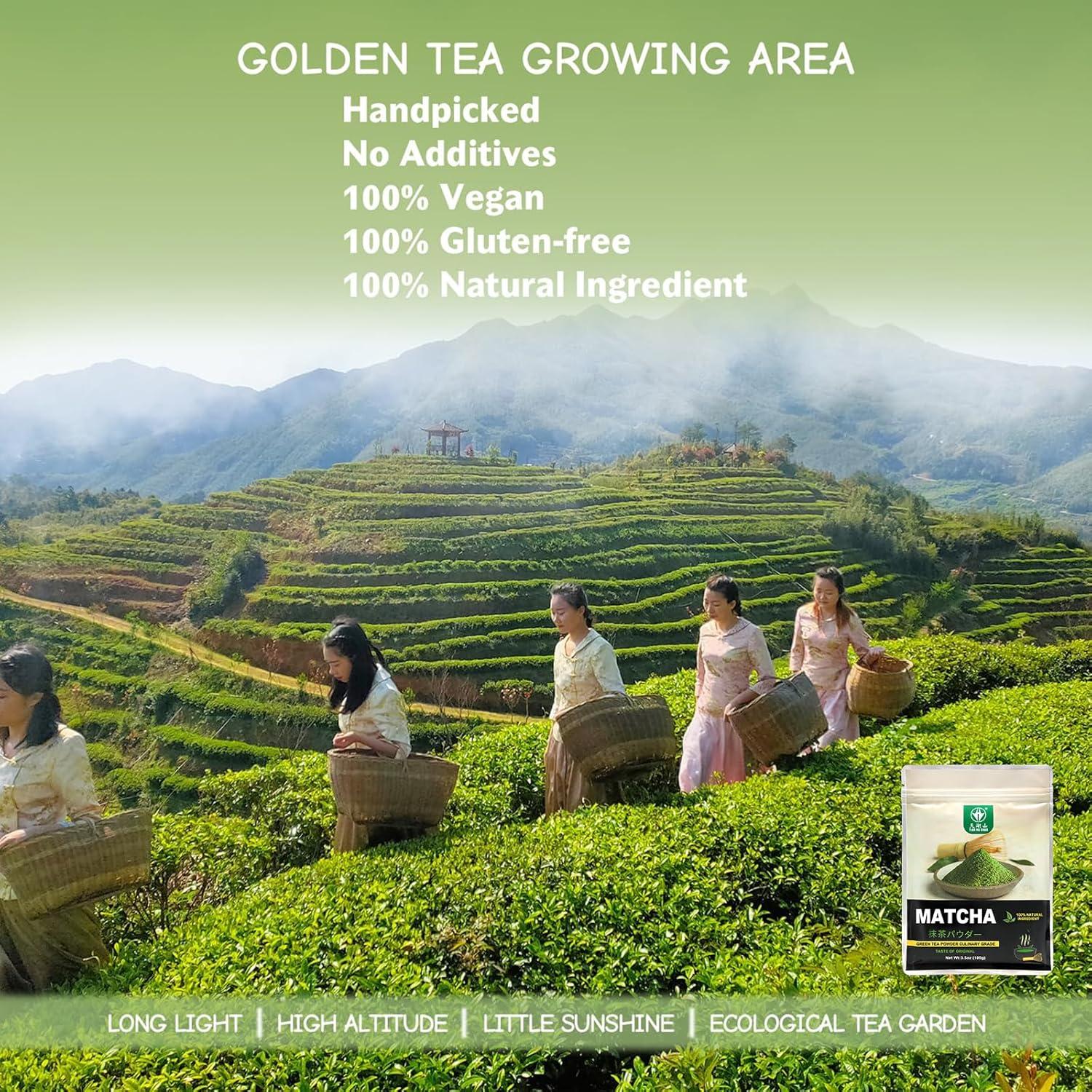 Polvo de Té Verde Matcha Culinario TIAN HU SHAN 100g