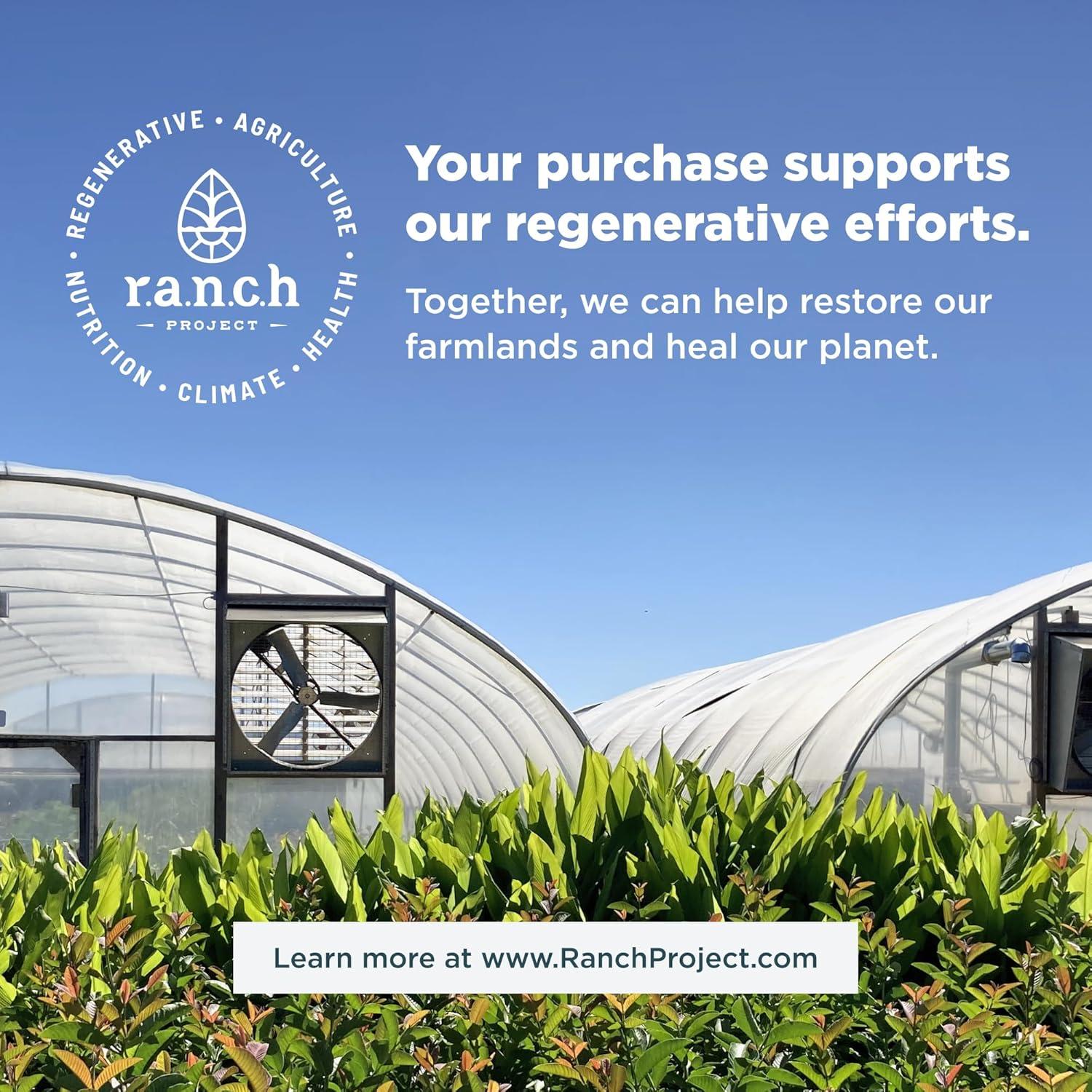 Polvo de Té Verde Matcha Superfood Ancient Elixirs 211g