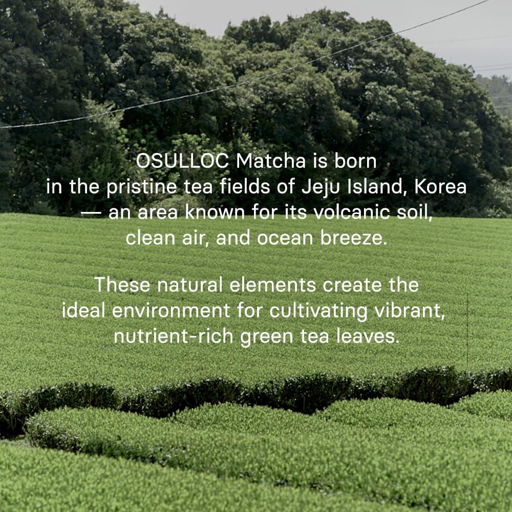 Polvo de Matcha Ceremonial OSULLOC 40g - Té Verde de Jeju
