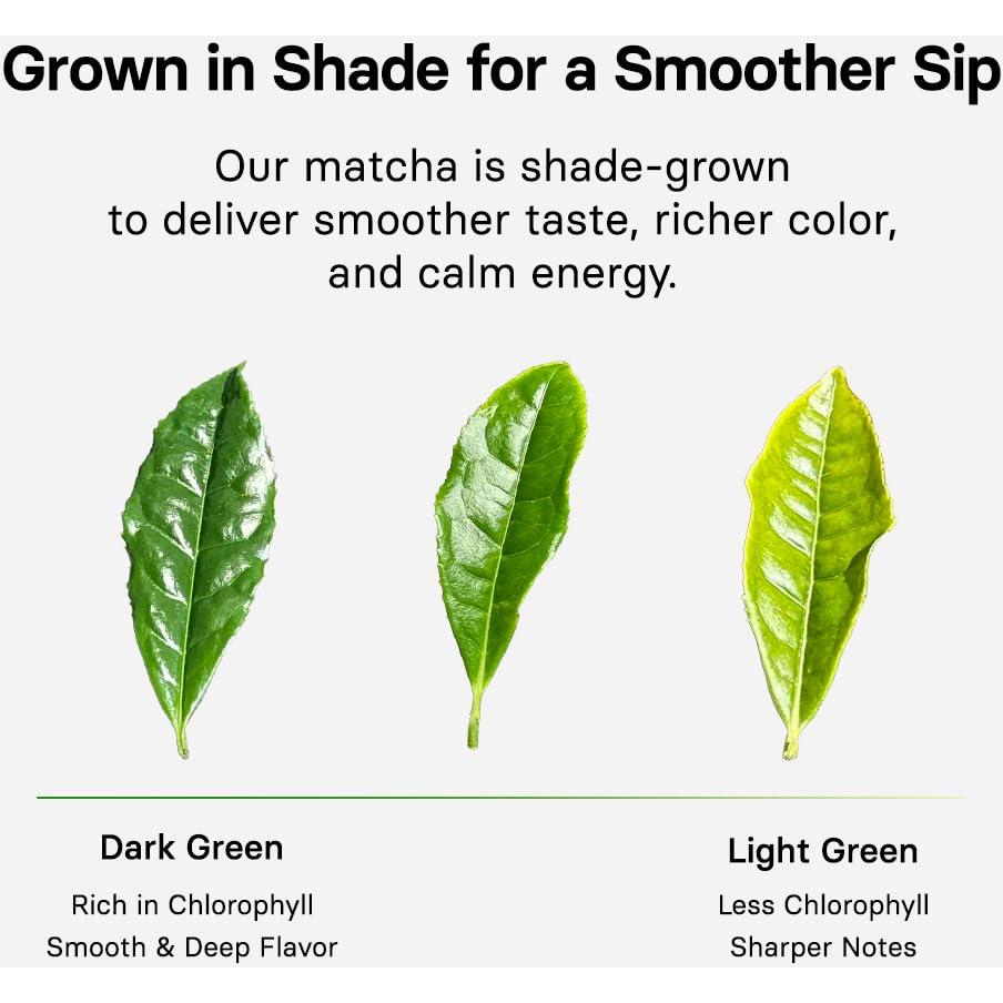 Polvo de Matcha Ceremonial OSULLOC 40g - Té Verde de Jeju