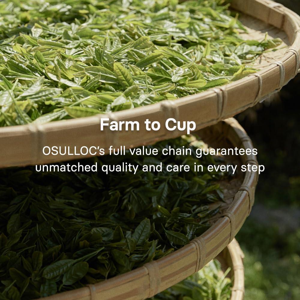 Polvo de Matcha Ceremonial OSULLOC 40g - Té Verde de Jeju