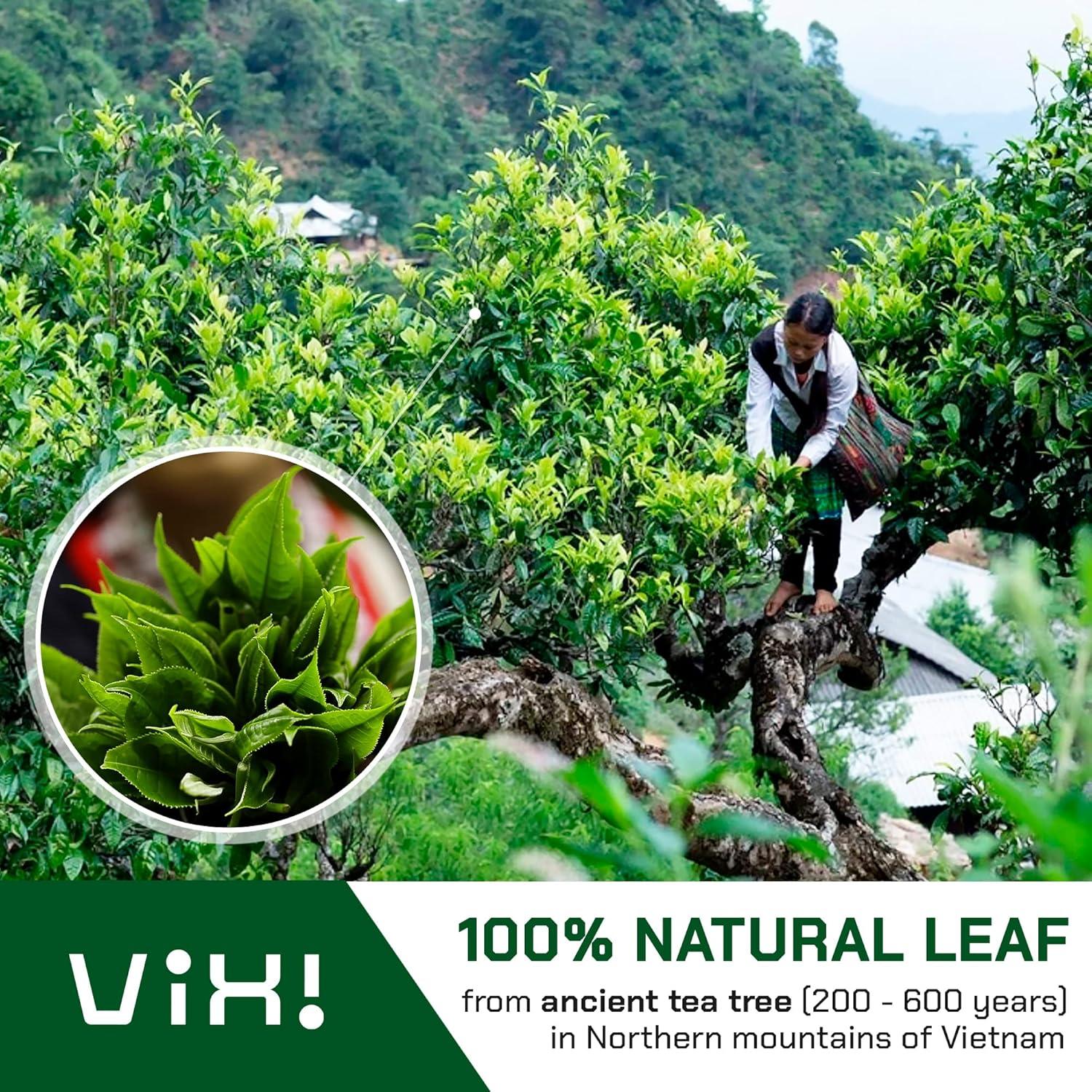 Té Oolong Suelto VIXI 453 g - 100% Natural de Vietnam