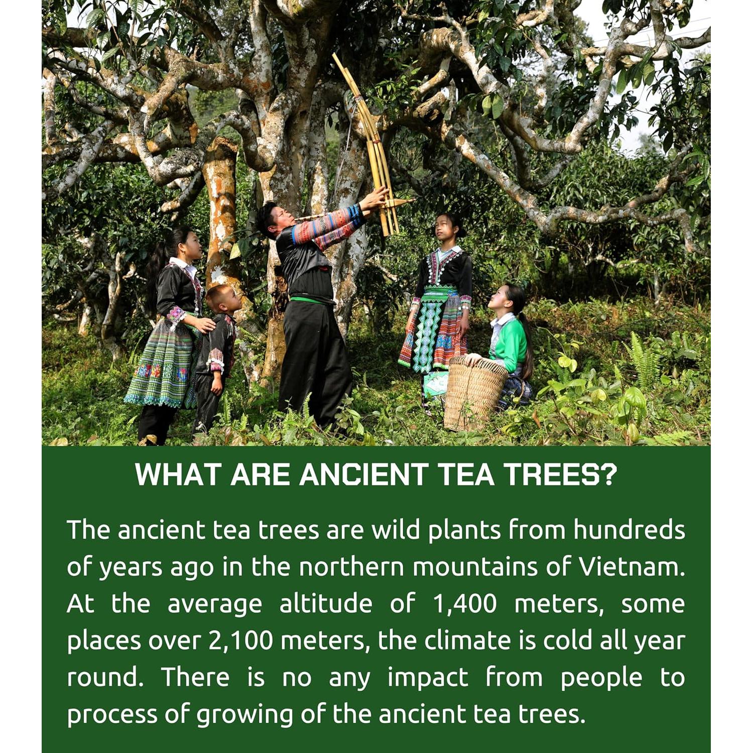 Té Oolong Suelto VIXI 453 g - 100% Natural de Vietnam