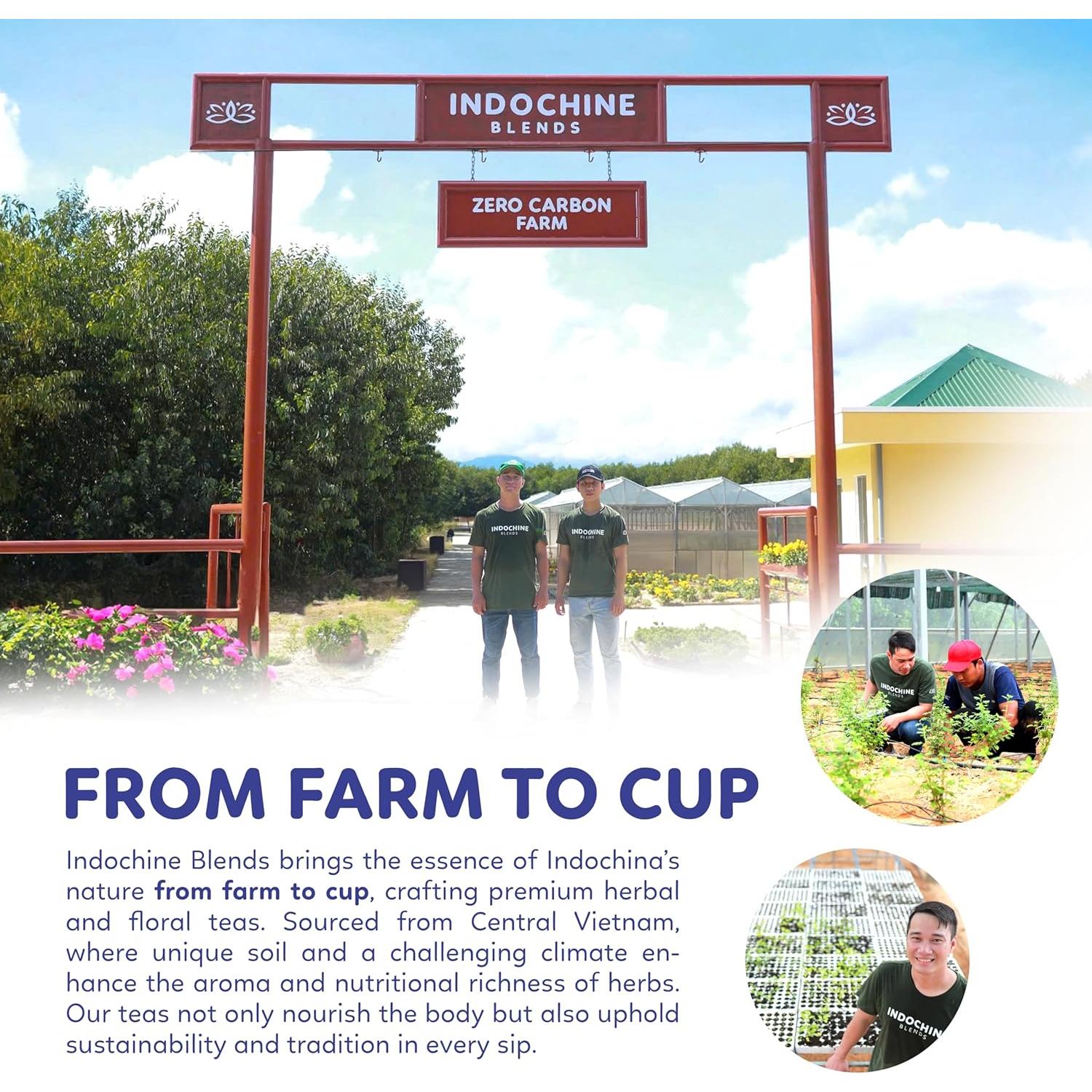 Té Herbal Refrescante Indochine Blends 125g - 50 Bolsitas Pirámide