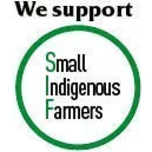 Té Guayusa Pacha 0.91kg | Hoja Suelta Orgánica Energética