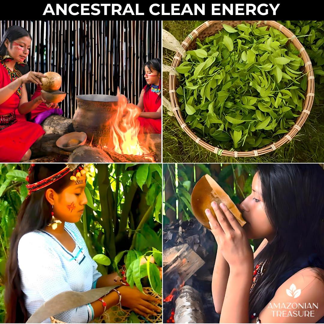 Té de Guayusa Orgánico Tesoro Amazónico 0.45 KG - Energía Natural