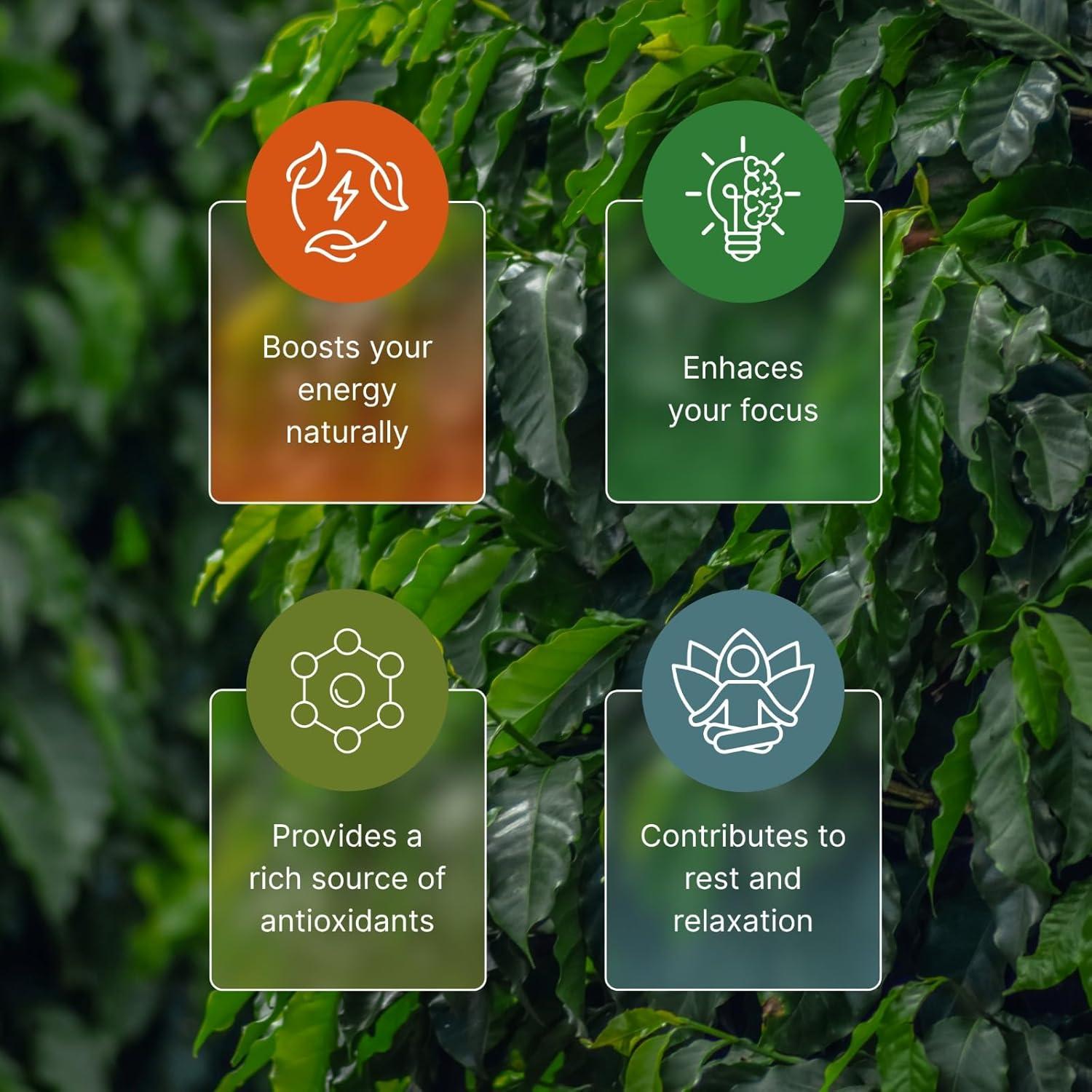 Té de Hoja Suelta Orgánico NooKoo Guayusa 453g - Energía Suave