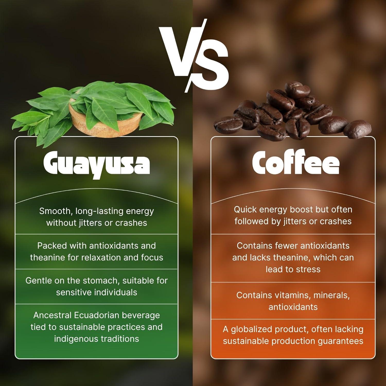 Té de Hoja Suelta Orgánico NooKoo Guayusa 453g - Energía Suave