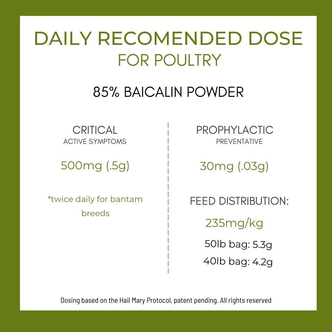 Suplemento para Aves FORTIFLOCK Dam Kids Ranch 200g