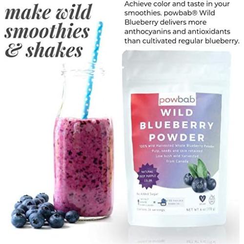 Polvo de Arándano Silvestre 100% Powbab 70g - Antioxidante Natural