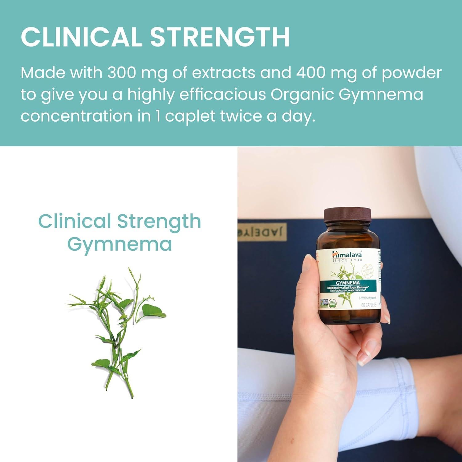 Suplemento Herbal Gymnema Sylvestre Himalaya 700 mg - 60 Tabletas