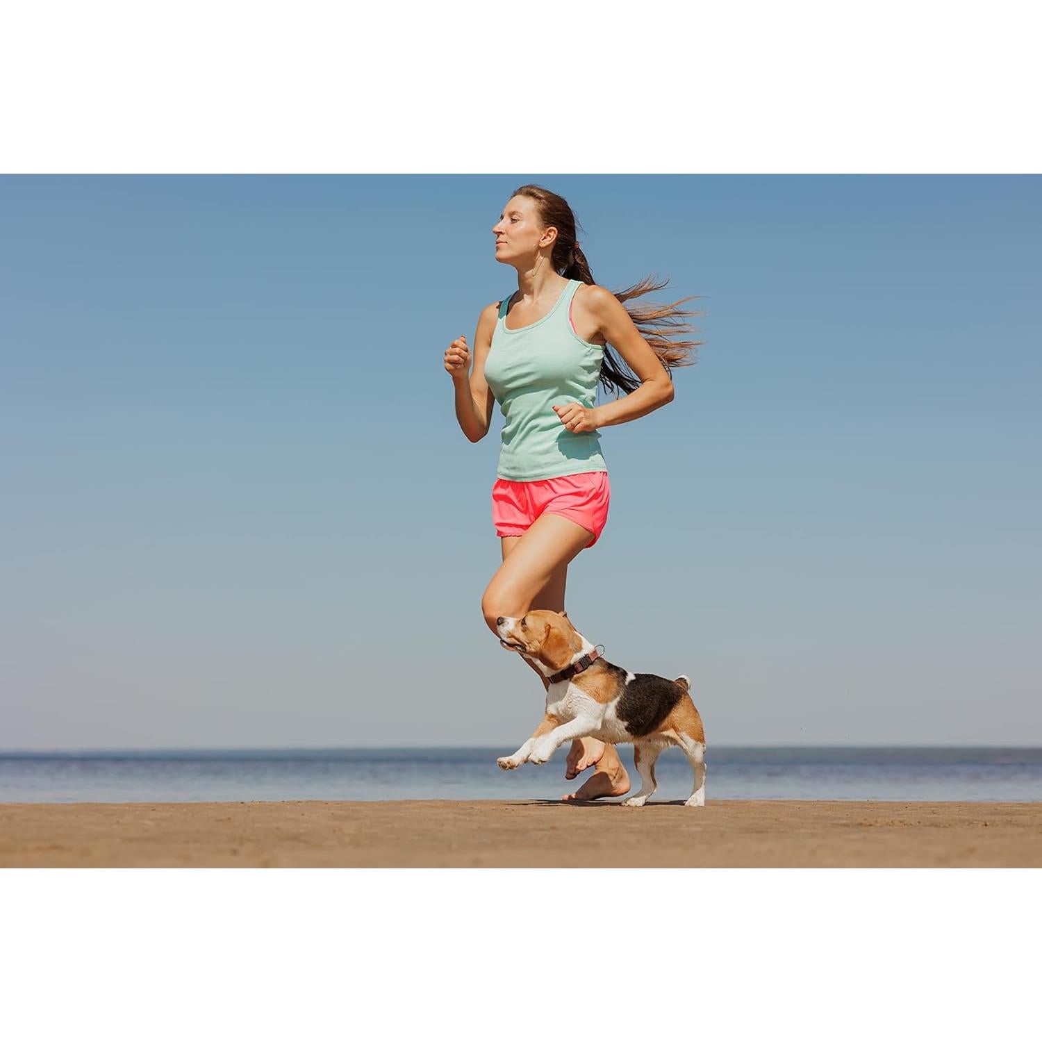 Cápsulas de Canela de Ceilán 365 Unidades - Ingredientes Originales Puros