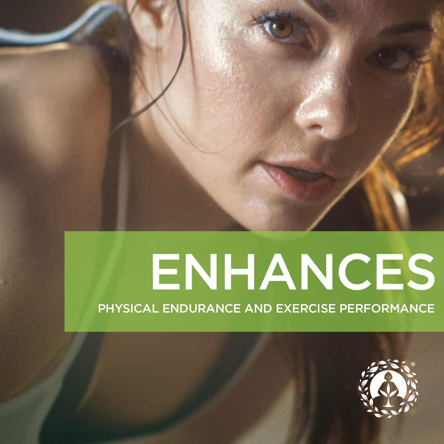 Cápsulas de Maca Zen Spirit 180 Píldoras 500mg Orgánicas