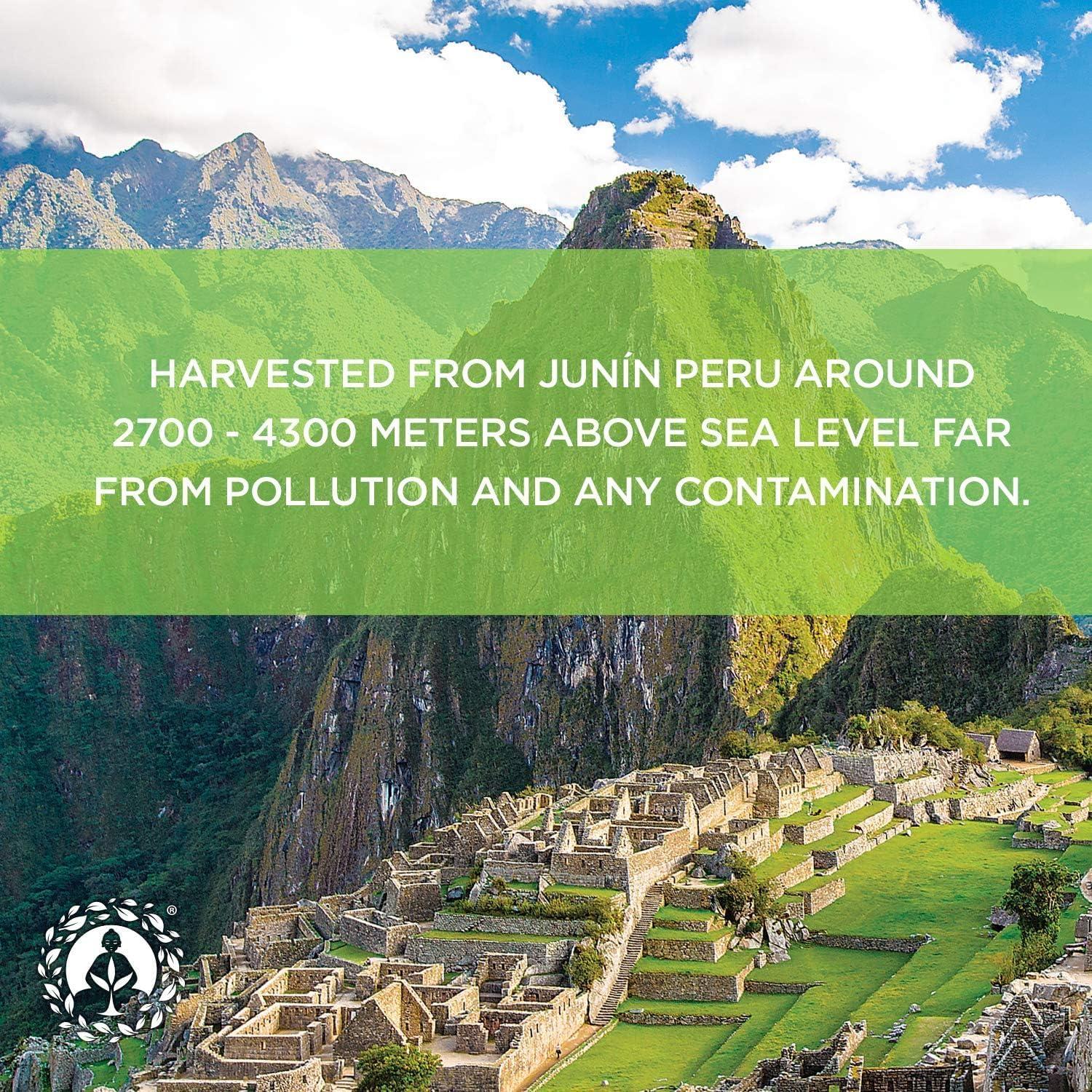 Cápsulas de Maca Zen Spirit 180 Píldoras 500mg Orgánicas