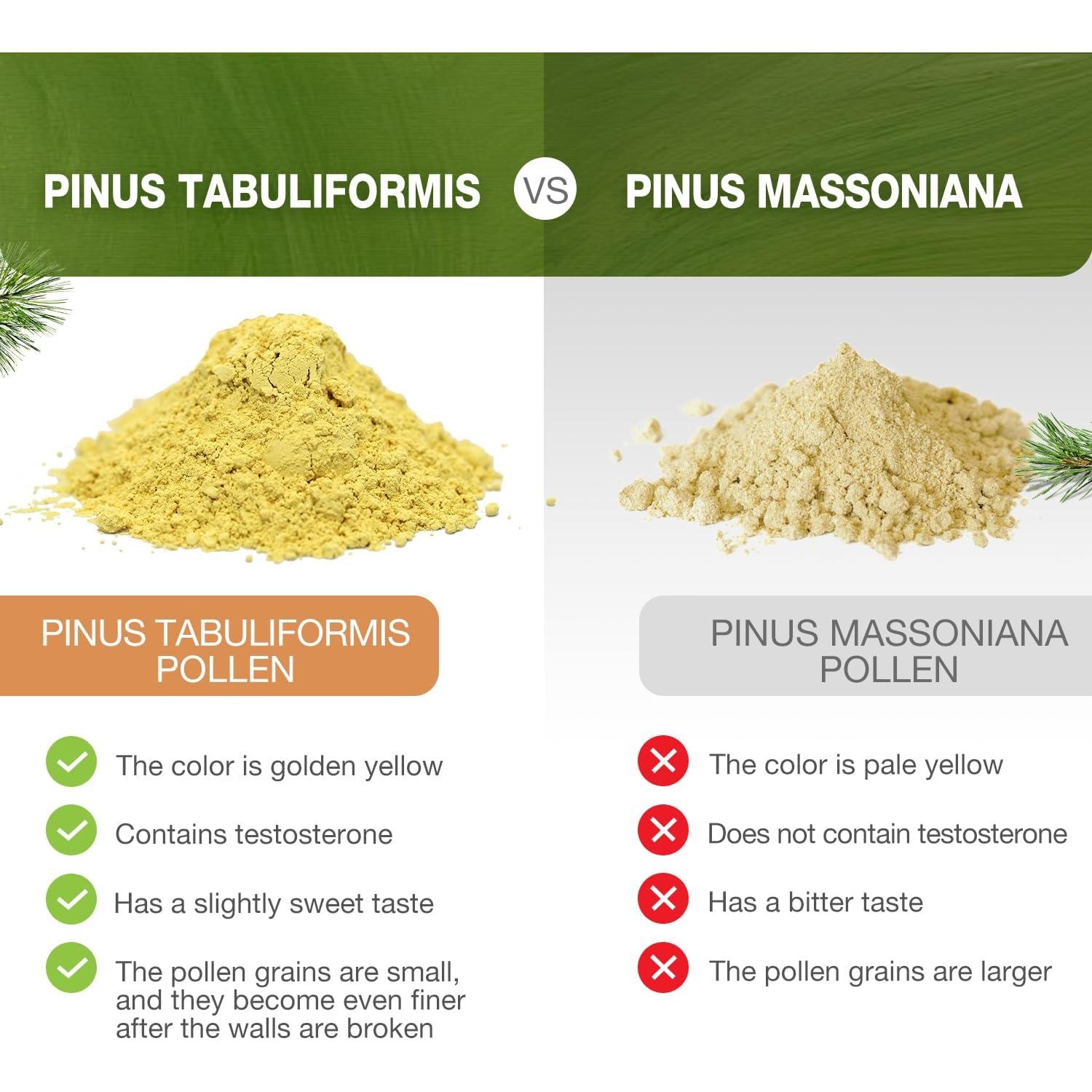 Polvo de Polen de Pino ECO-TASTE 170g - Pinus Tabuliformis