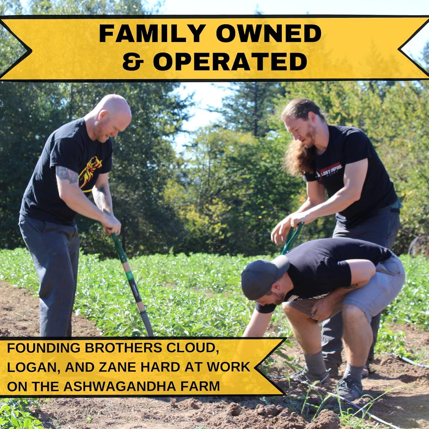 Polvo de Polen de Pino 250g - Lost Empire Herbs, Natural y Sin Irradiar