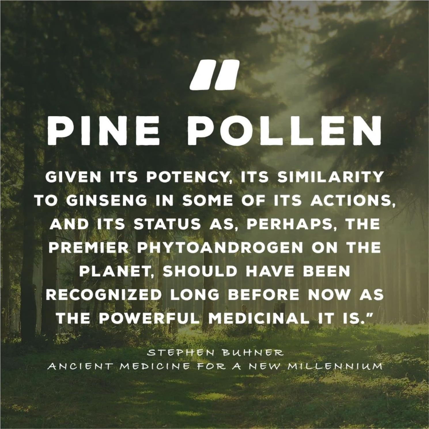 Extracto de Polen de Pino Oro Surthrival 30 ml Cosechado Silvestre