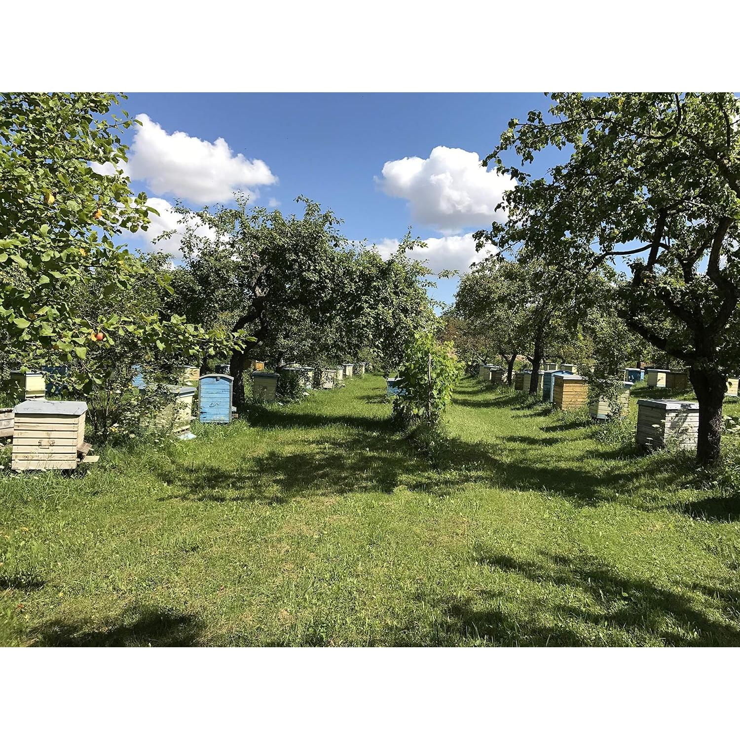 Pan de Abeja 100% Orgánico Fresco Perga Ambrosía 100g